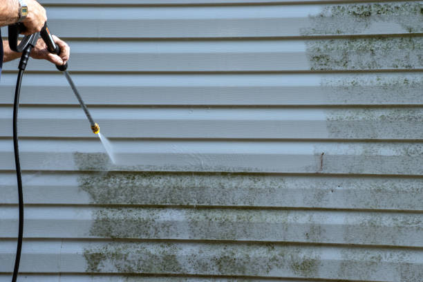 Best Residential Vinyl Siding Installation  in Bayonne, NJ